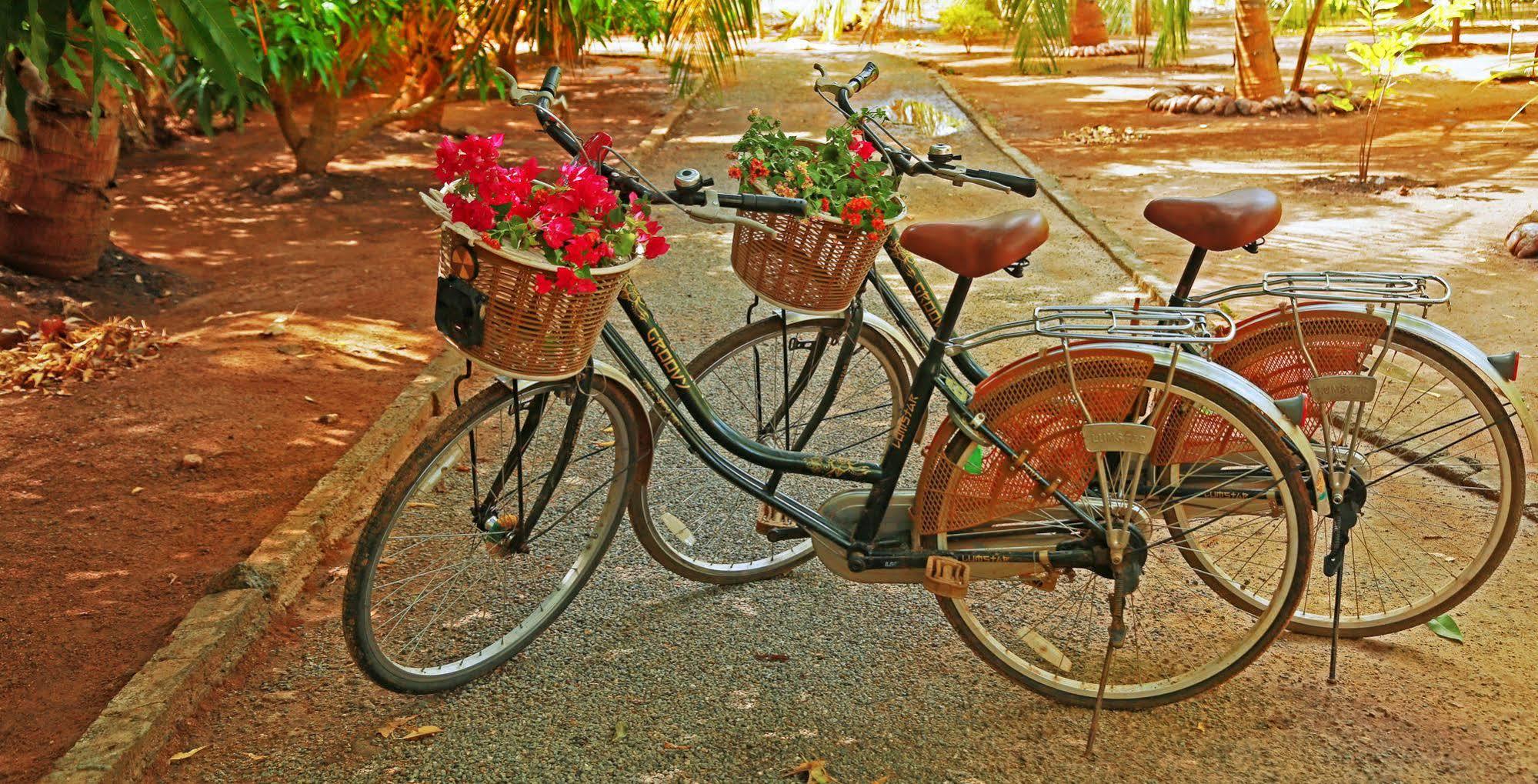 קטרגמה Heina Nature Resort - Eco Home And Yala Safari מראה חיצוני תמונה